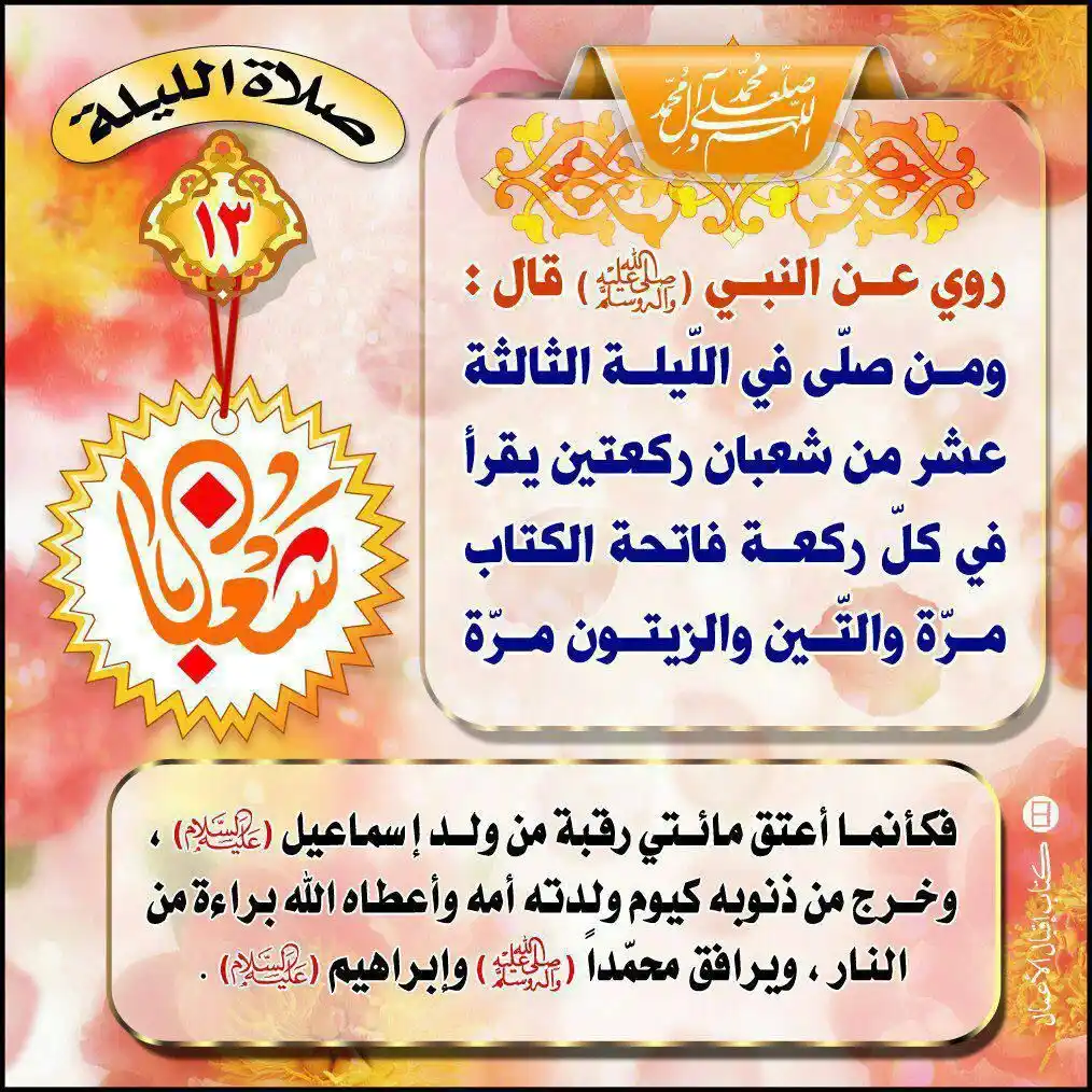 درع المرجعية post