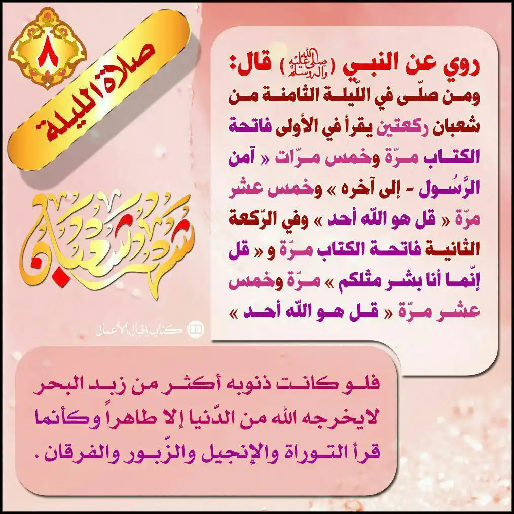 درع المرجعية post