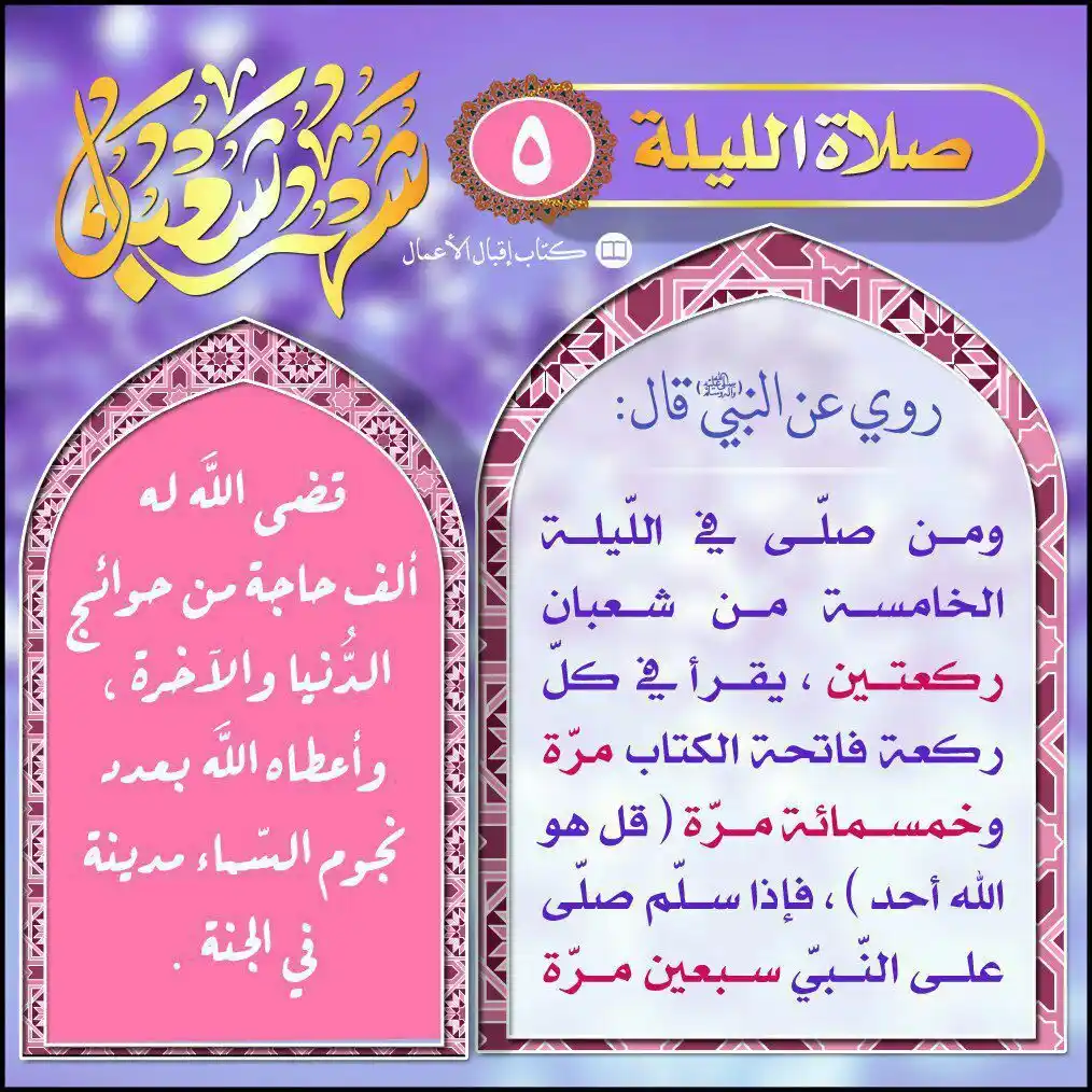 درع المرجعية post