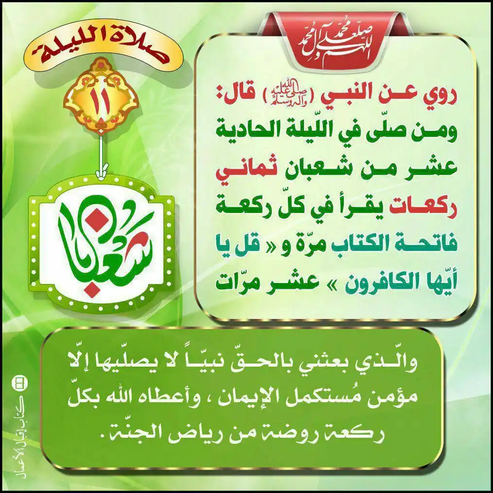 درع المرجعية post