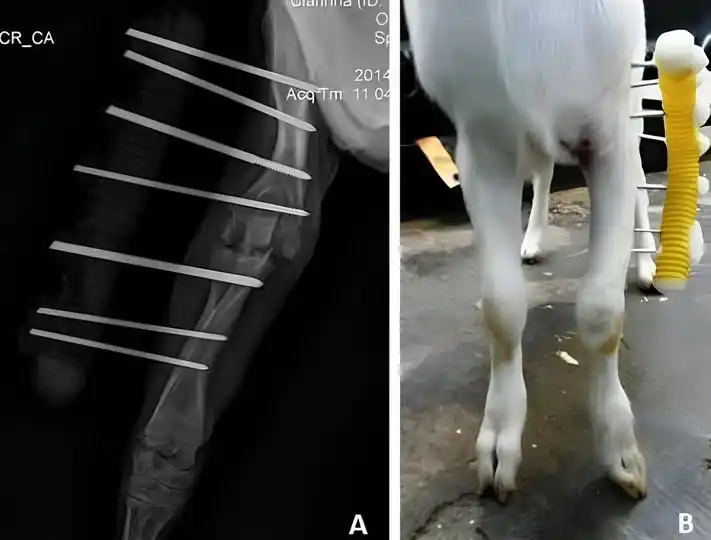 e-Radiologia post