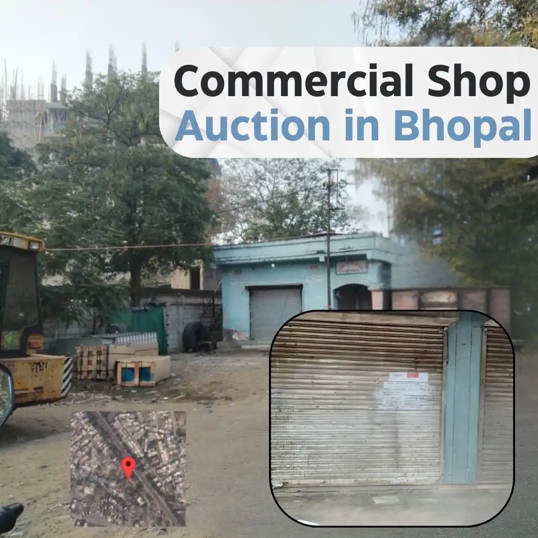 eAuctionsIndia post