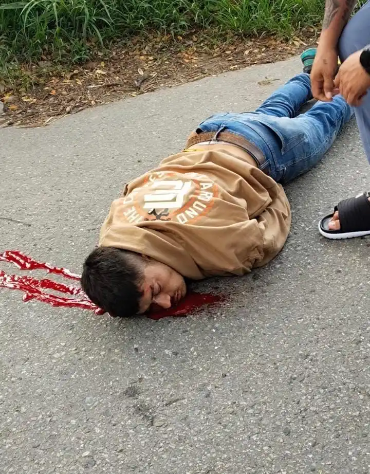 El Avispero Bucaramanga . Com post