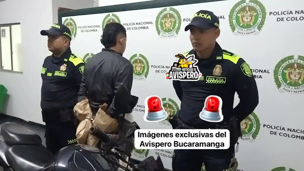 El Avispero Bucaramanga . Com post