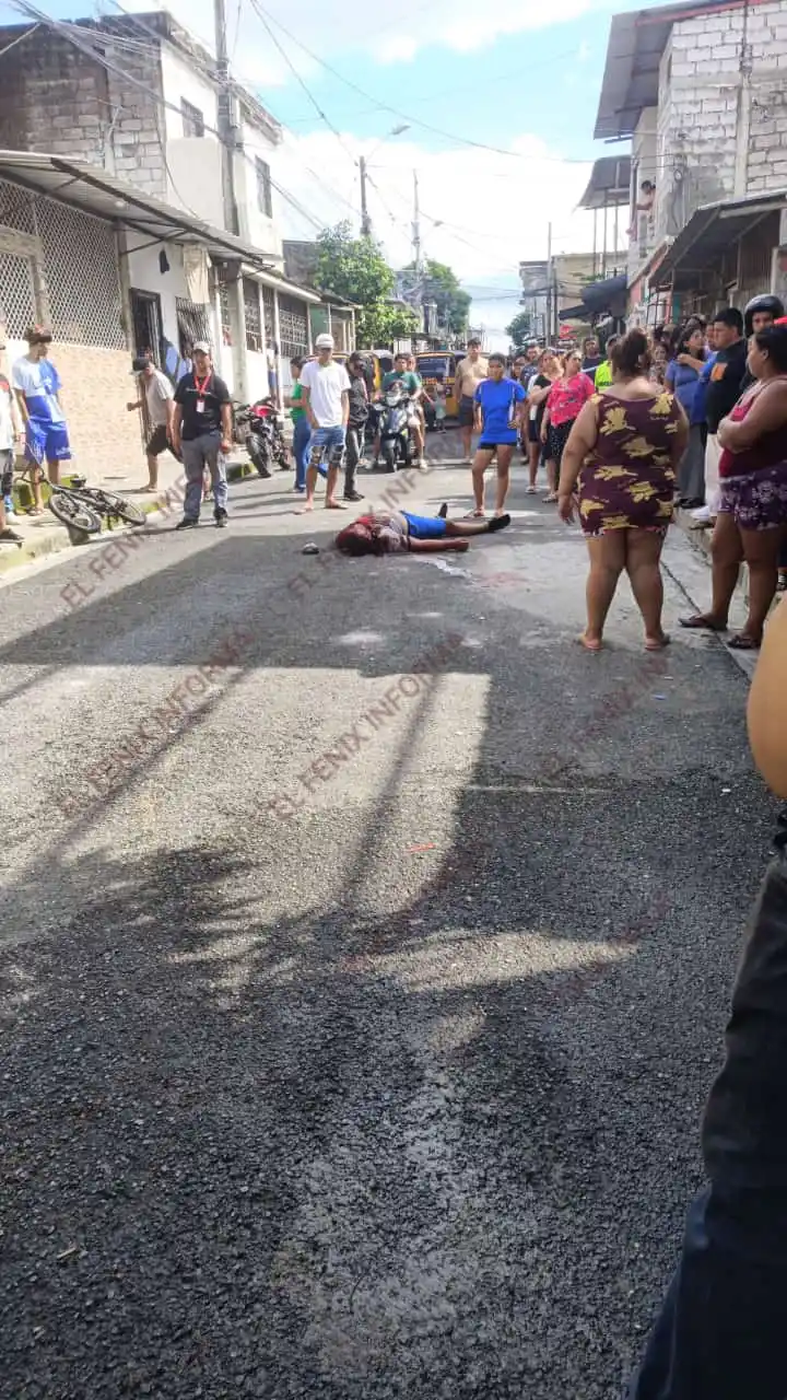 EL FENIX INFORMA 2 post