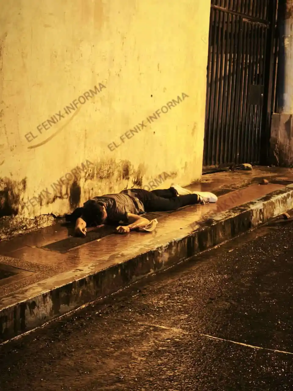 EL FENIX INFORMA 2 post