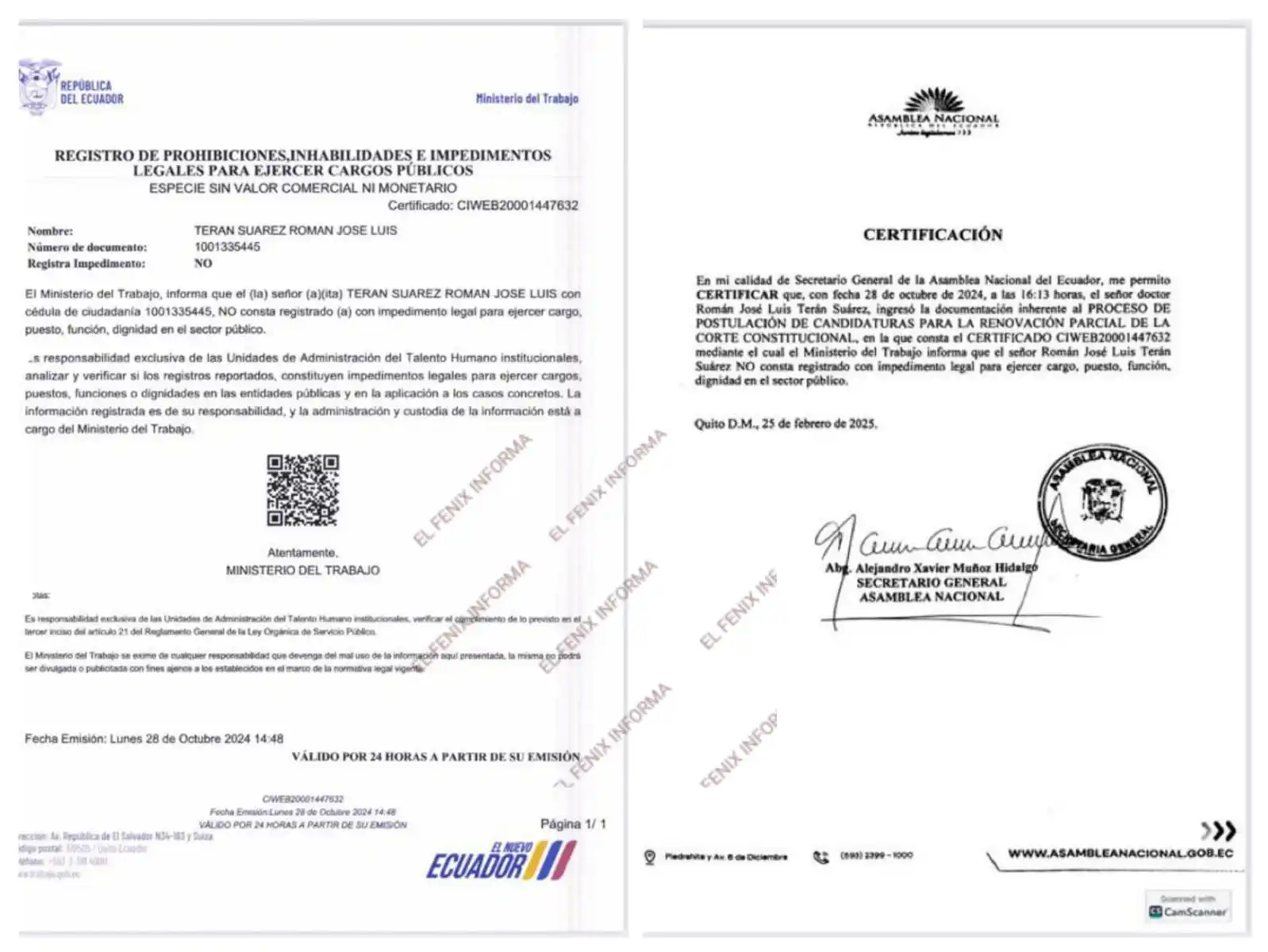 EL FENIX INFORMA 2 post