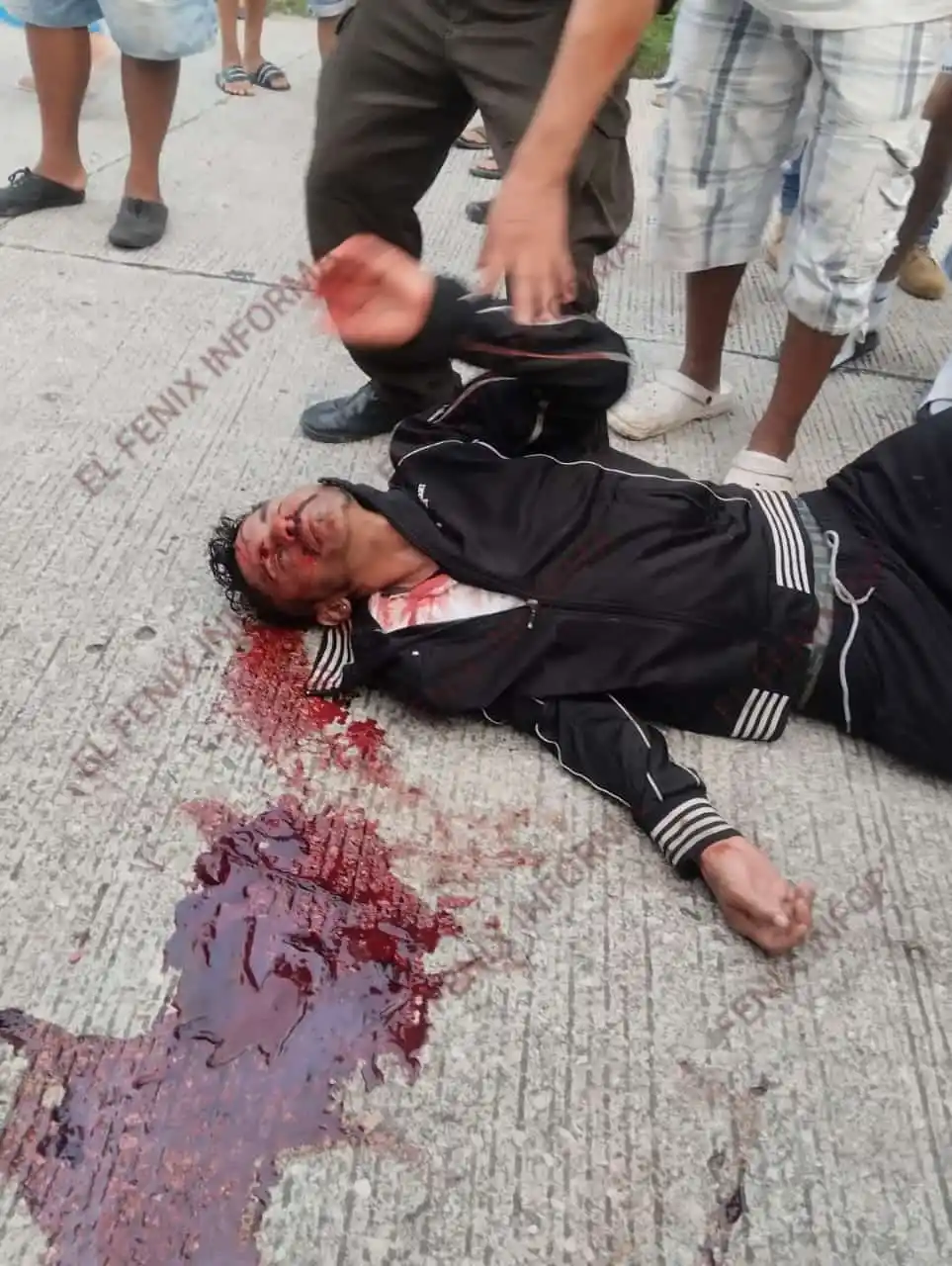 EL FENIX INFORMA 2 post