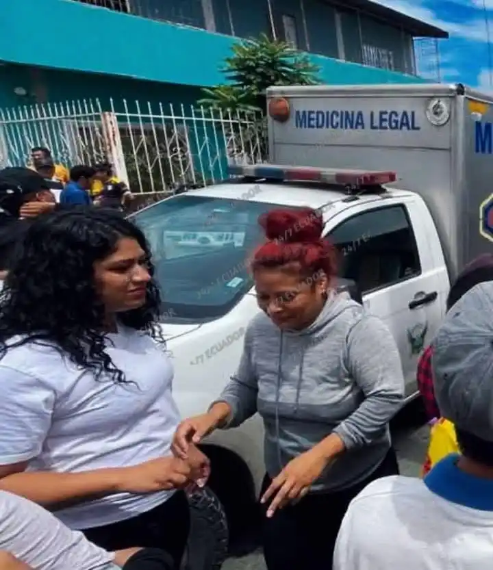 EL FENIX INFORMA 2 post