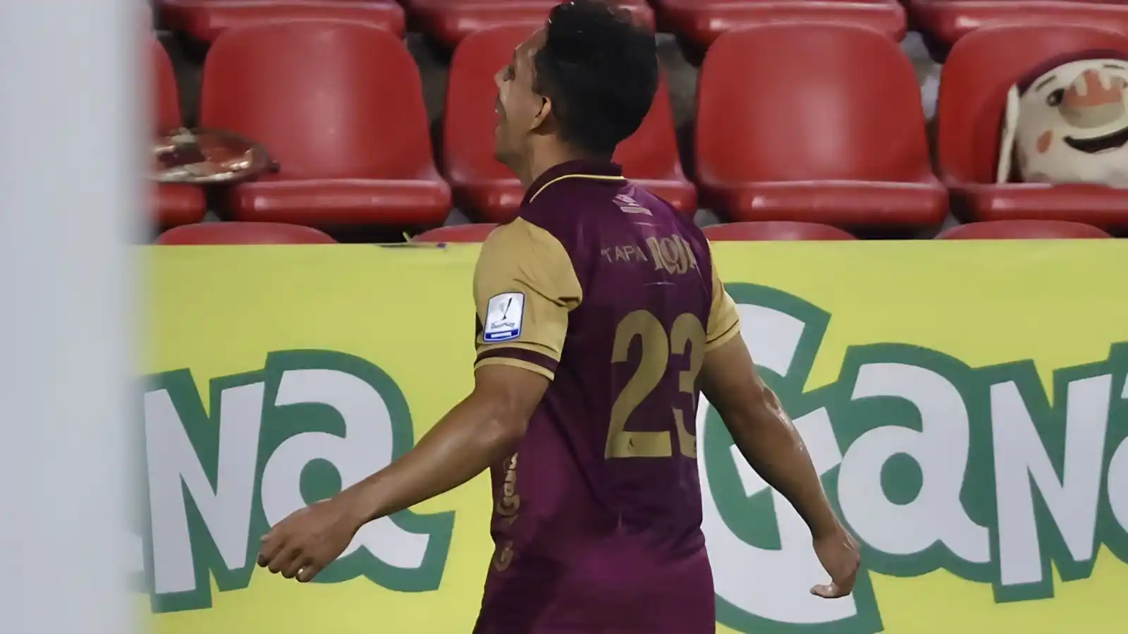 El Rincón del Vinotinto post