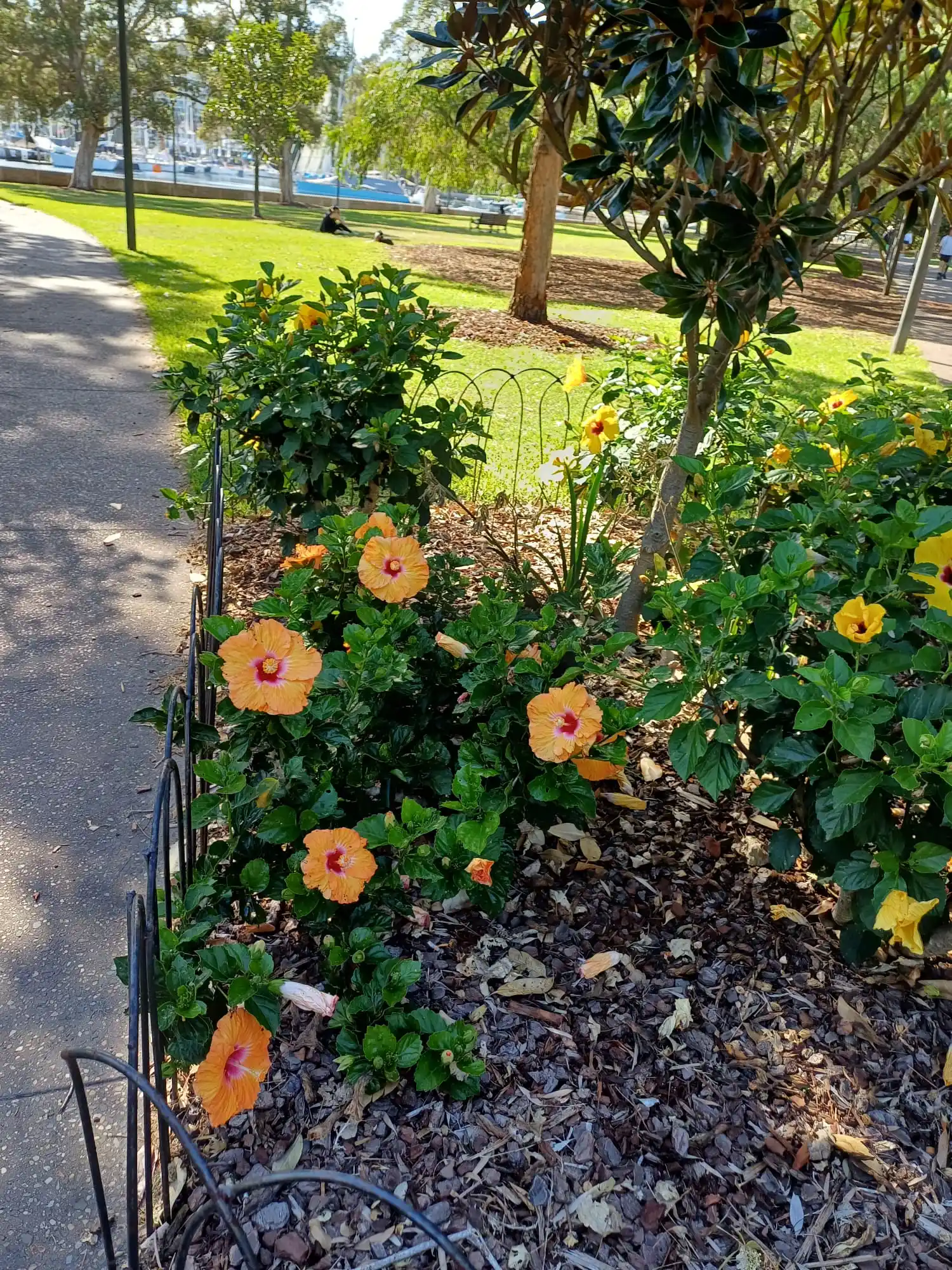 Ensemble Nobiles - Acappella LEIPZIG post