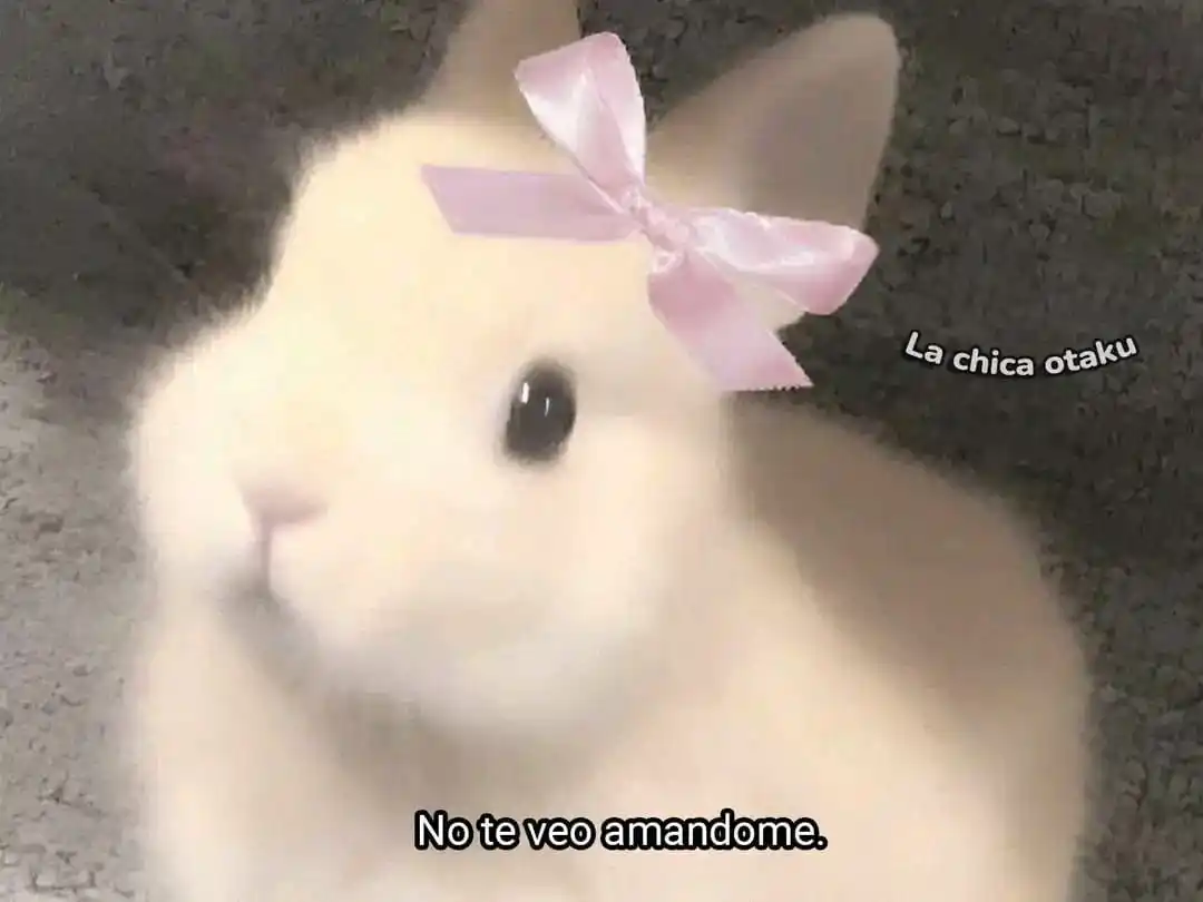 Memes & TikToks - REDDIT post