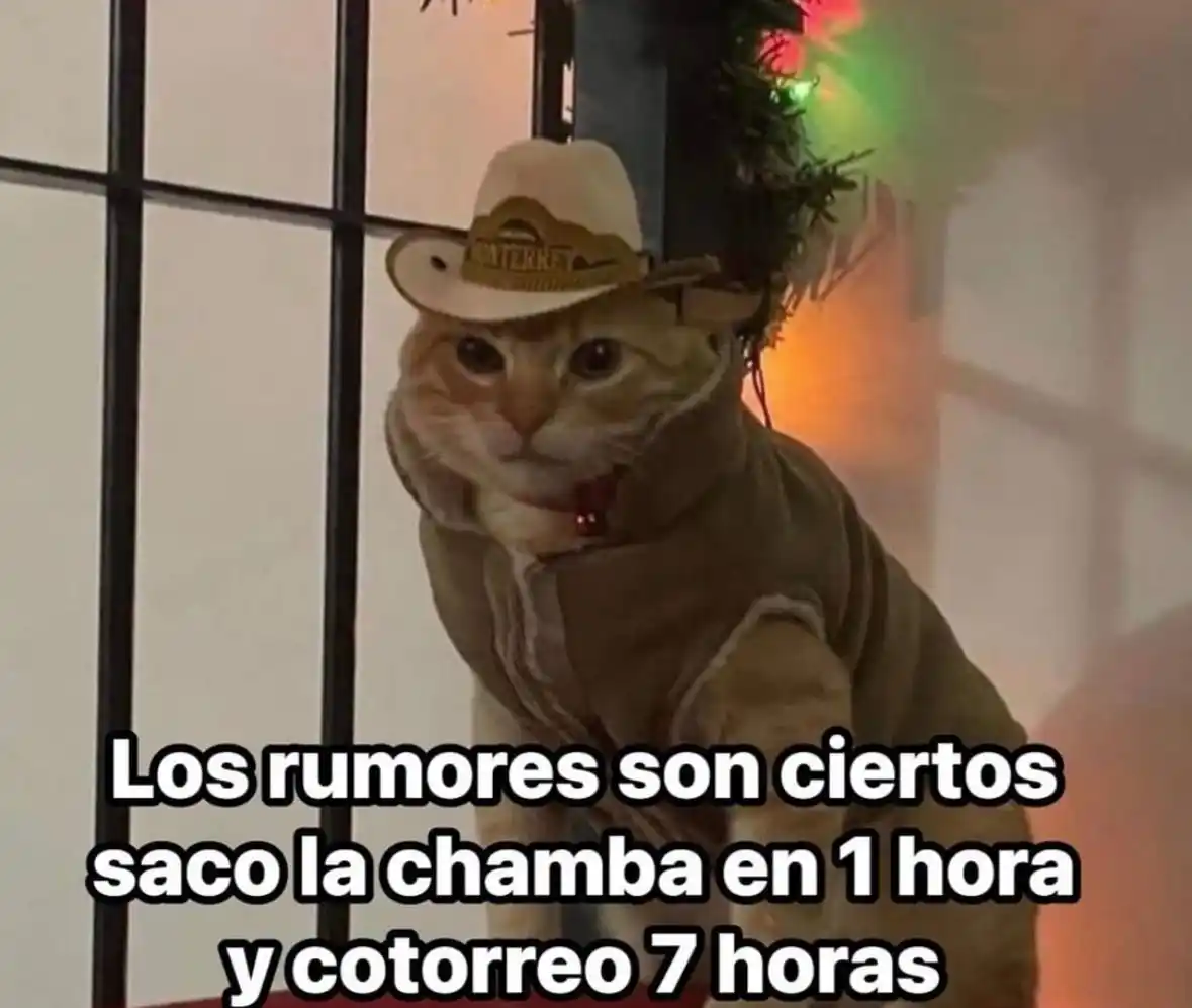 Memes & TikToks - REDDIT post