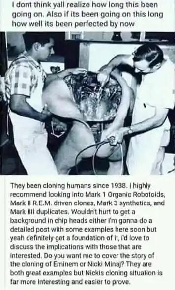 F.L.A Front De La Libération De L'azawad post