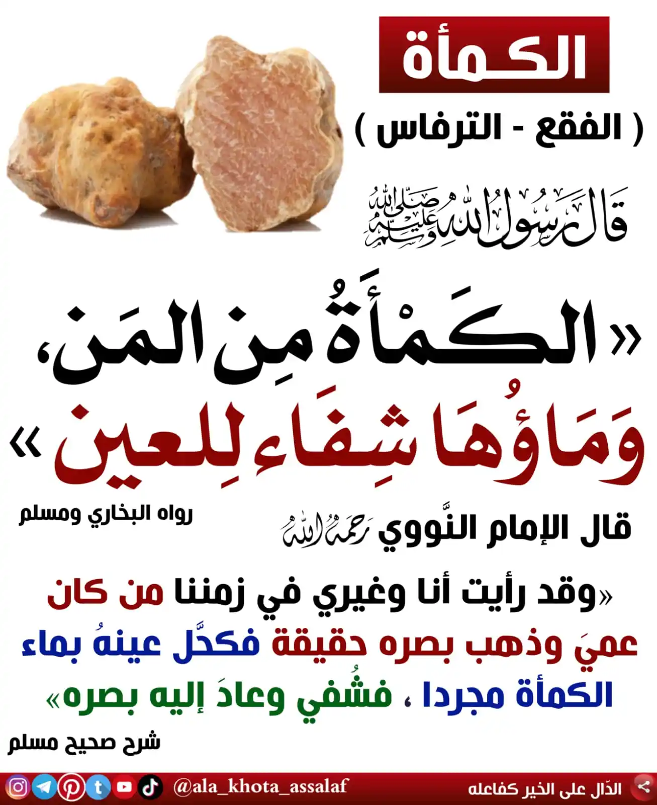 فوائد أثرية ( على خطى السلف ) post