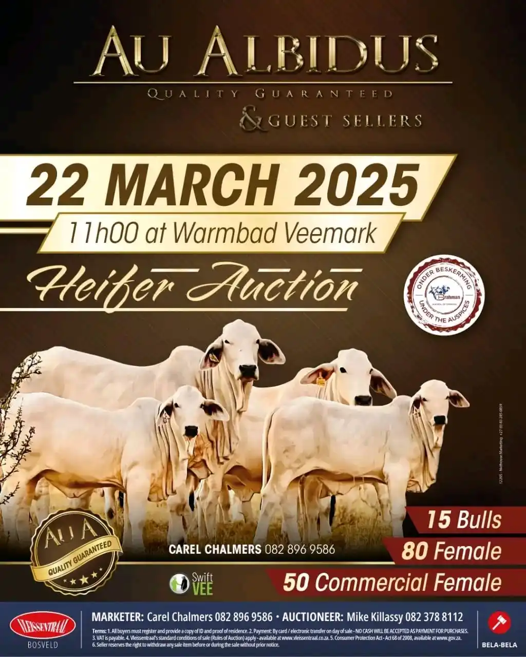 Image from Gatsheni Livestock Breeding: Au Albidus Brahman group and guest sellers will be hosting their annua...