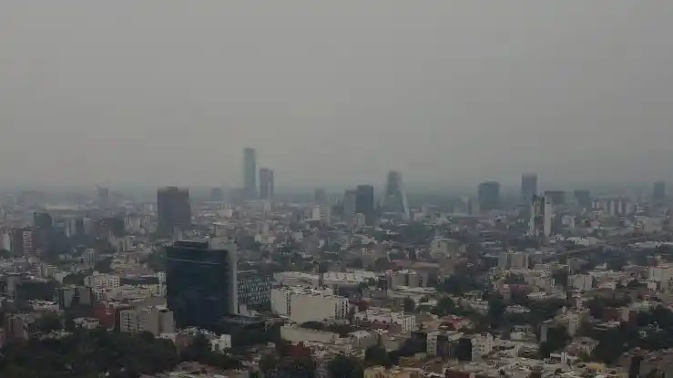 Image from Grupo Medios Comunicación: 🔹 *<a class="text-blue-500 hover:underline cursor-pointer" href="/has...