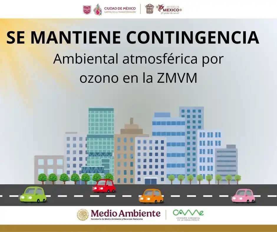 Image from Grupo Medios Comunicación: 🔹 *<a class="text-blue-500 hover:underline cursor-pointer" href="/has...