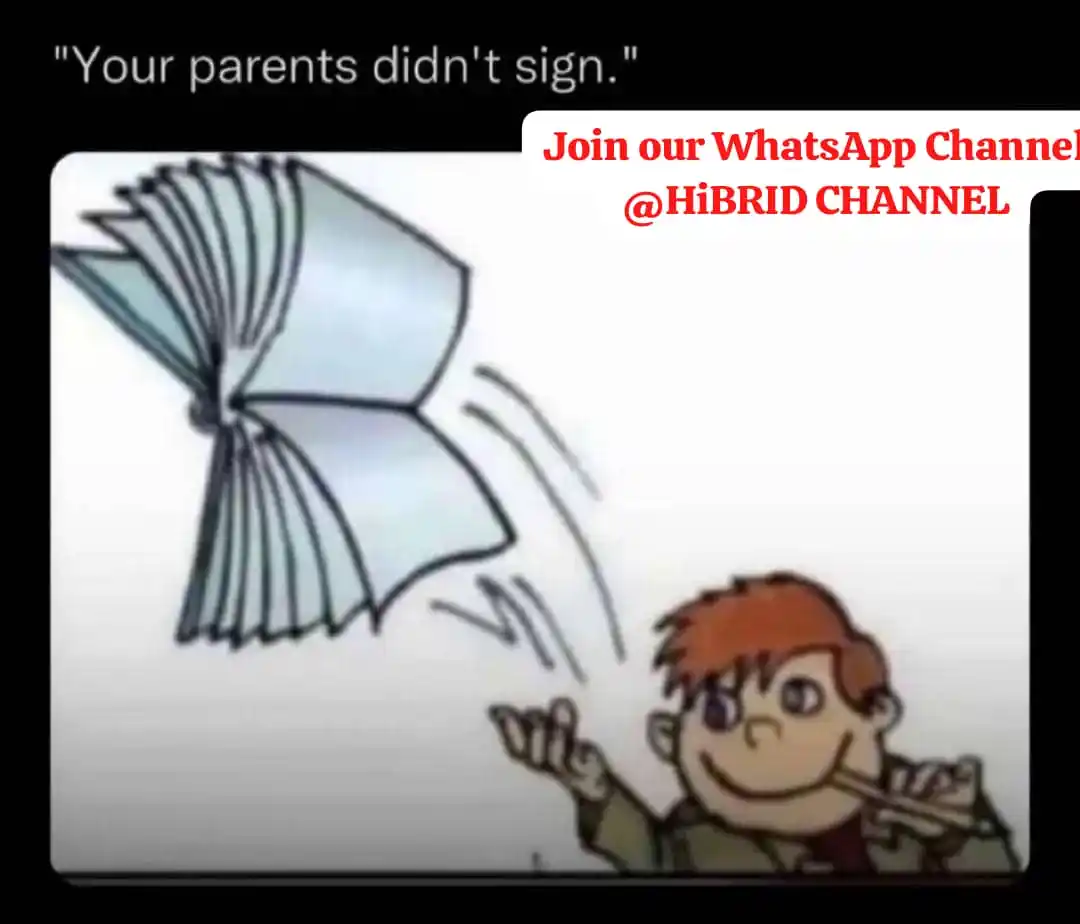 HiBRID UPDATES ✨ post