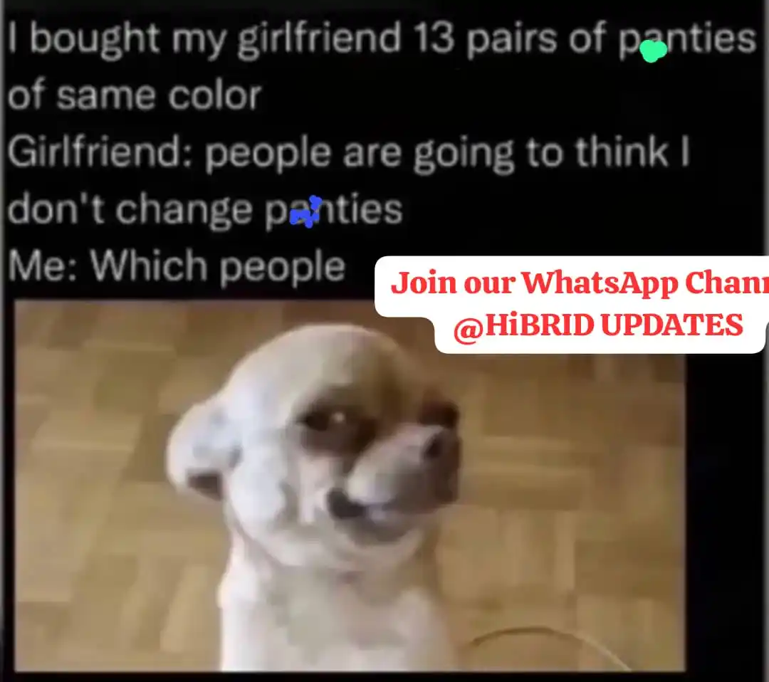 HiBRID UPDATES ✨ post