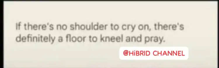 HiBRID UPDATES ✨ post