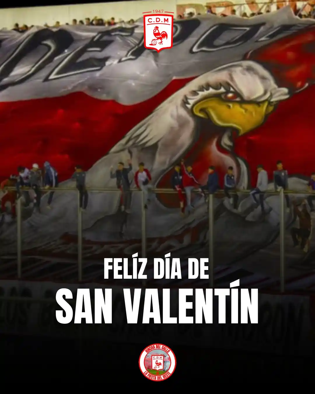 🐓 Hincha Del Gallo post