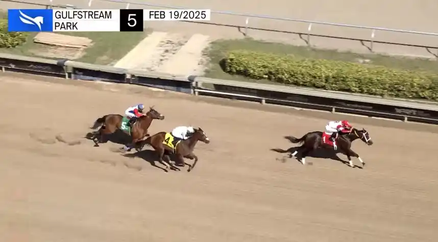 HIPISMO TOTAL post