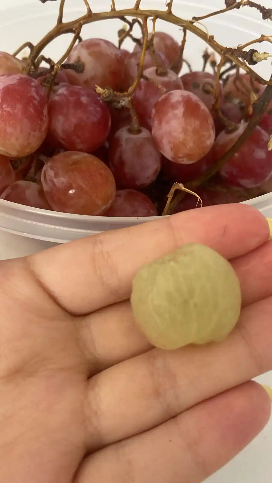 hola vlog ✌🏼 post