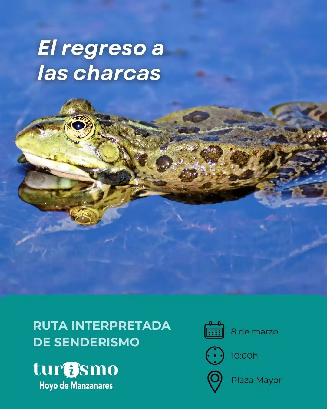 Image from Hoyo de Manzanares Actualidad: RUTA INTERPRETADA “EL REGRESO A LAS CHARCAS” Un paseo por el municipi...