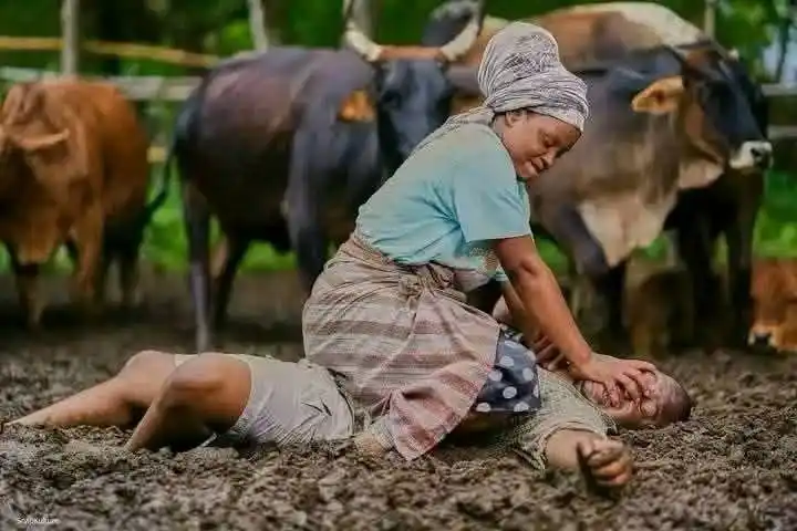 Hurumende News Hub post