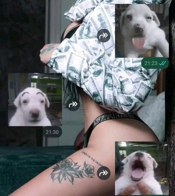 ✧Ian.✮⋆˙ post