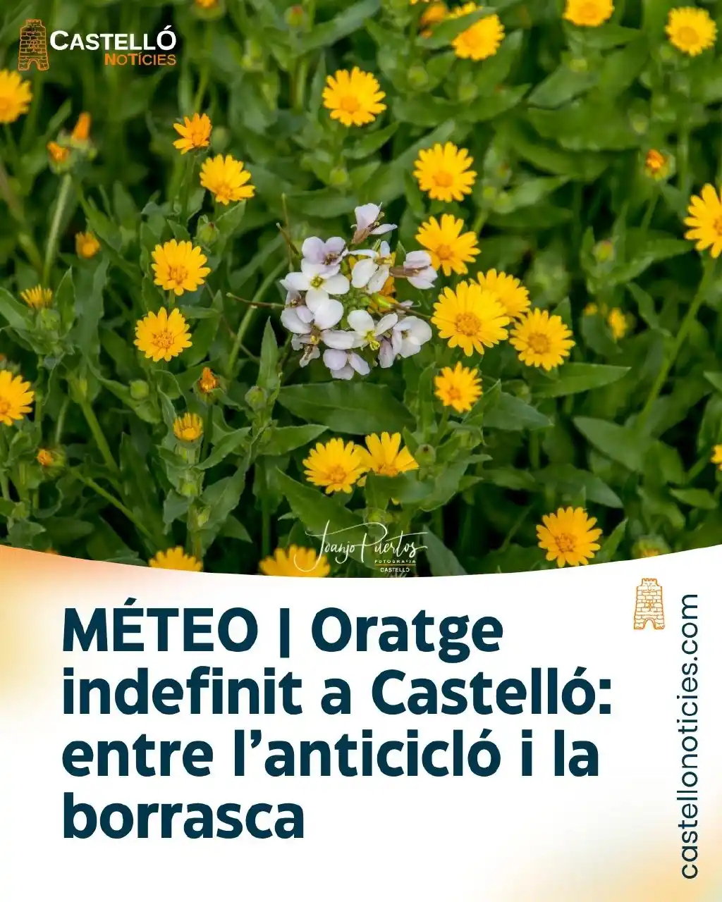 InfoCastelló post