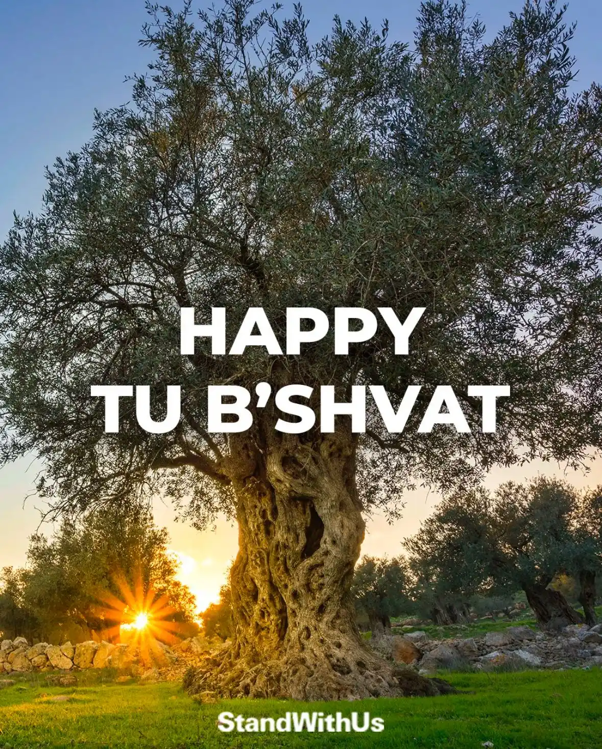 🇮🇱 Israel Breaking Updates 🇮🇱 post