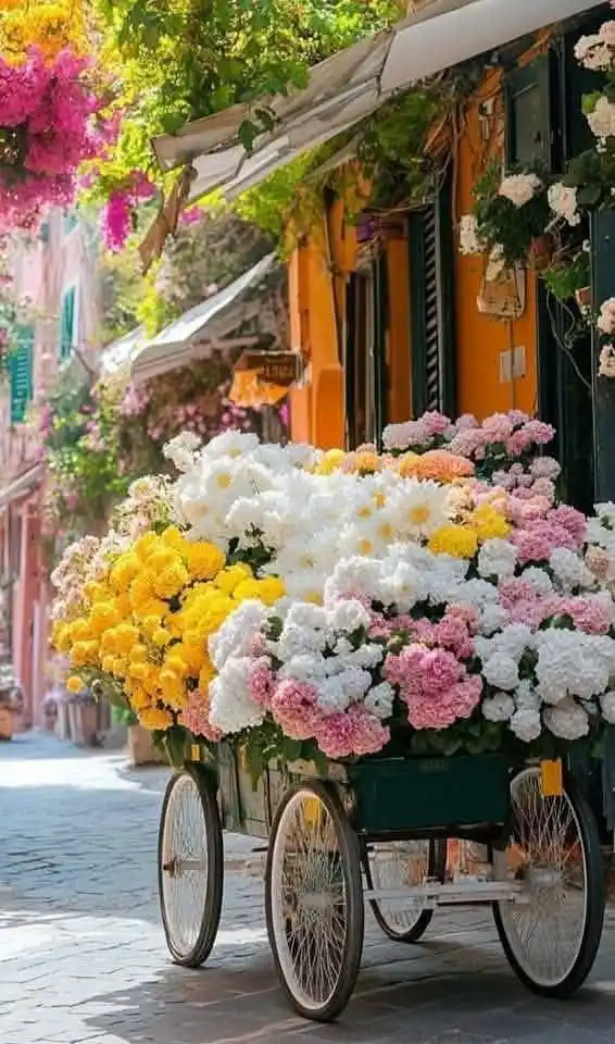 کانال صبح بخیر و شب بخیر post