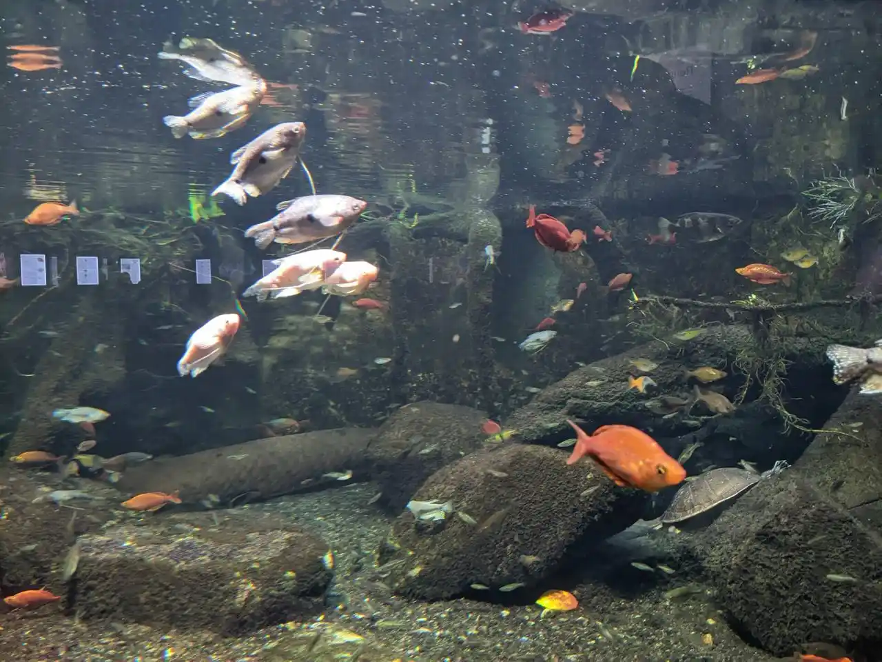 Kath-Kirche-Horb post