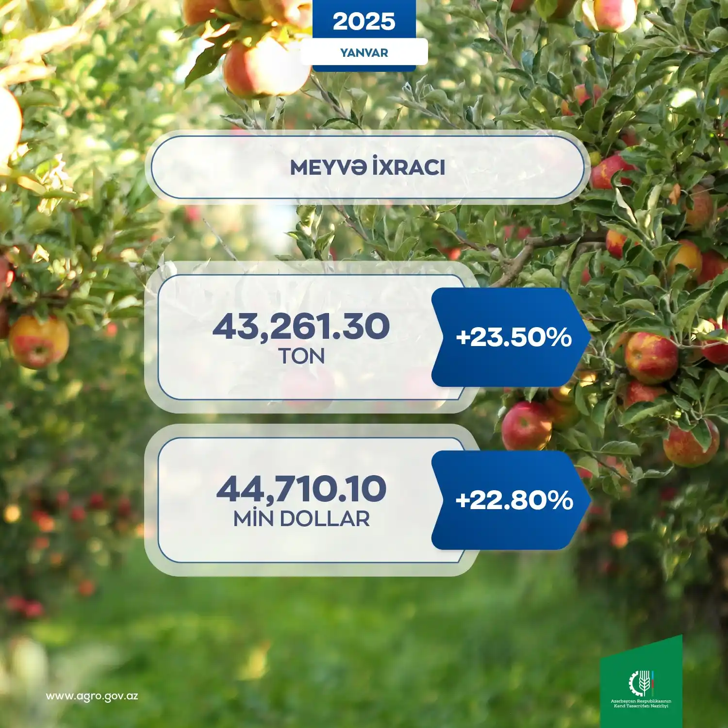 Image from Kənd Təsərrüfatı Nazirliyi: ✅ Ölkəmizdə intensiv bağların sahəsinin genişlənməsi, ötən illərdə sal...