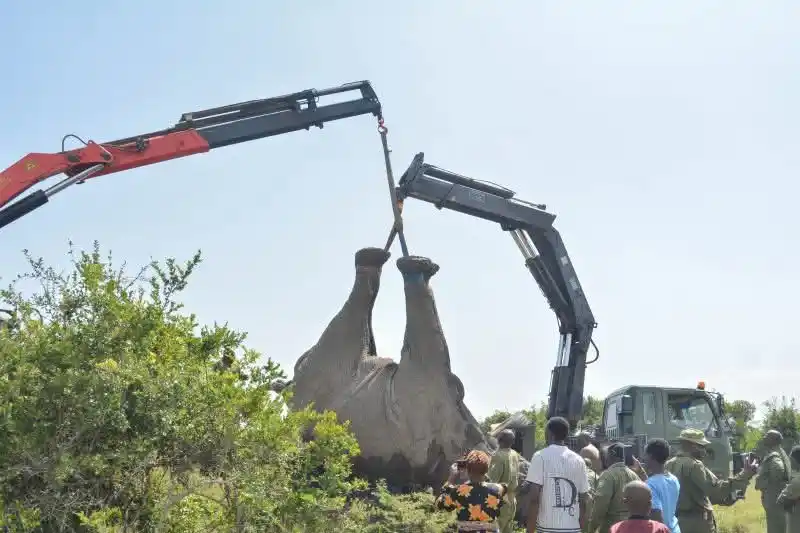 Kenya Wildlife Service post