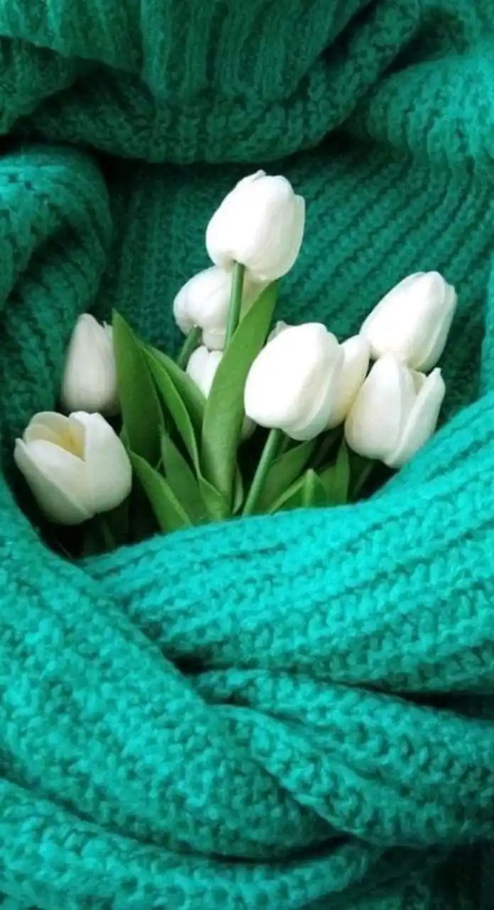 ❁  خُـذ بيــدي  ❁ *✲ﾟ* post