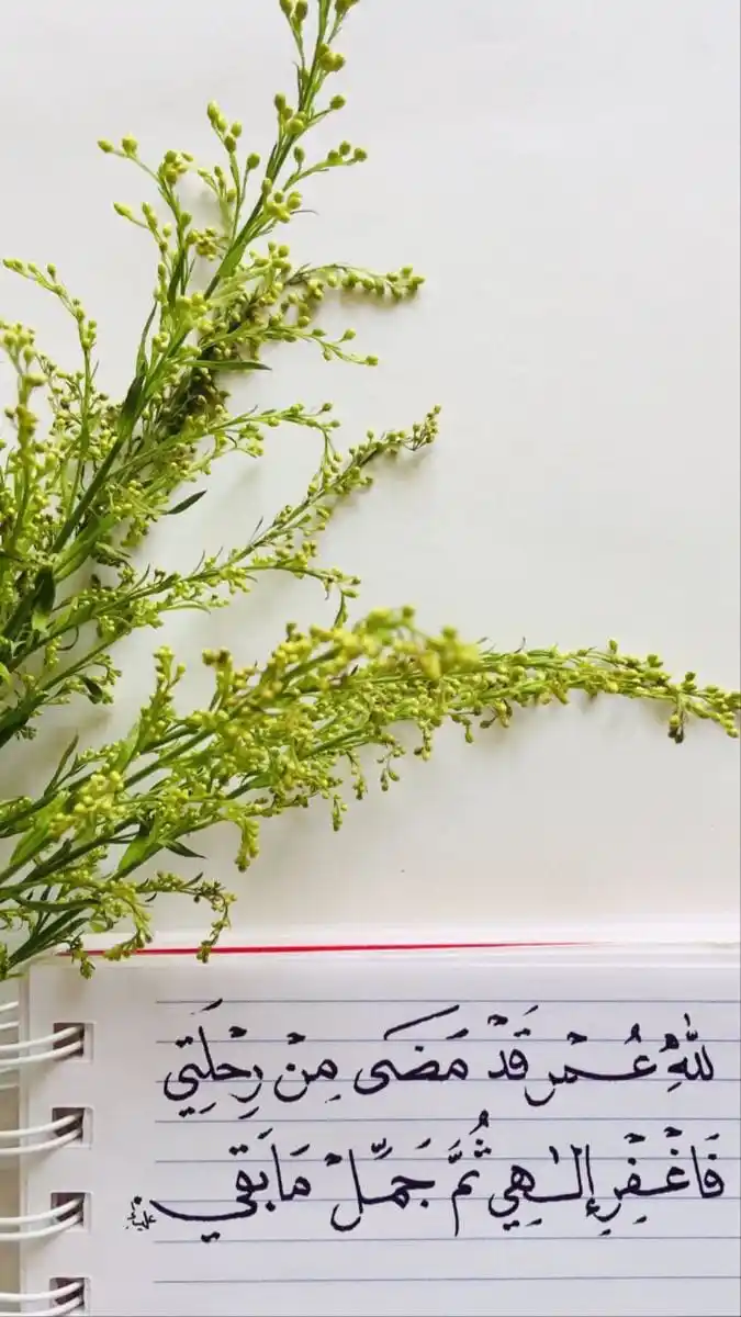 ❁  خُـذ بيــدي  ❁ *✲ﾟ* post