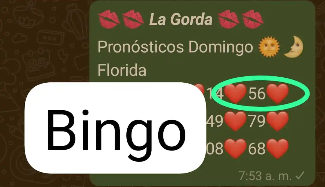 LA BOLITA CUBANA post