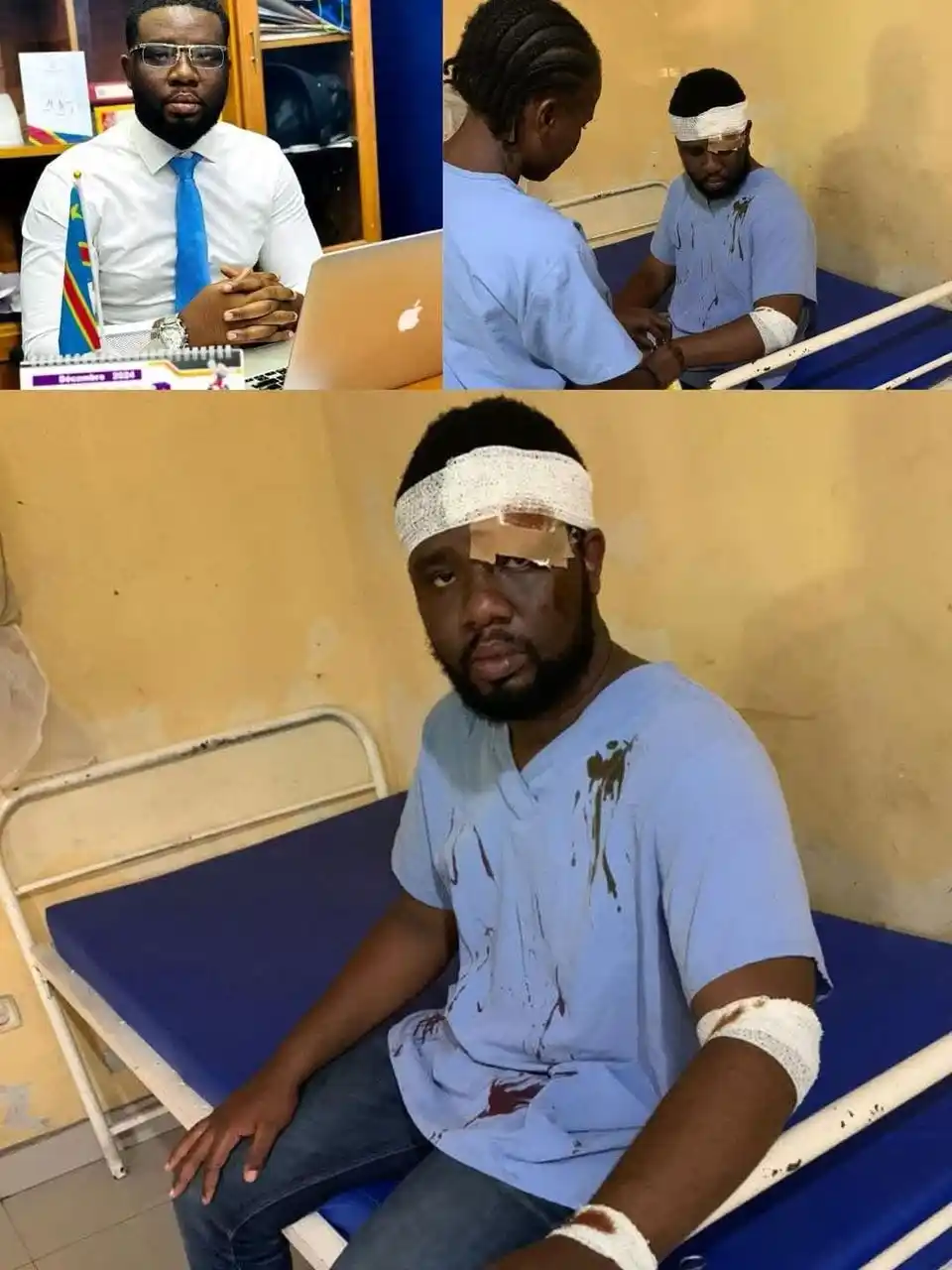 La lionne infos post