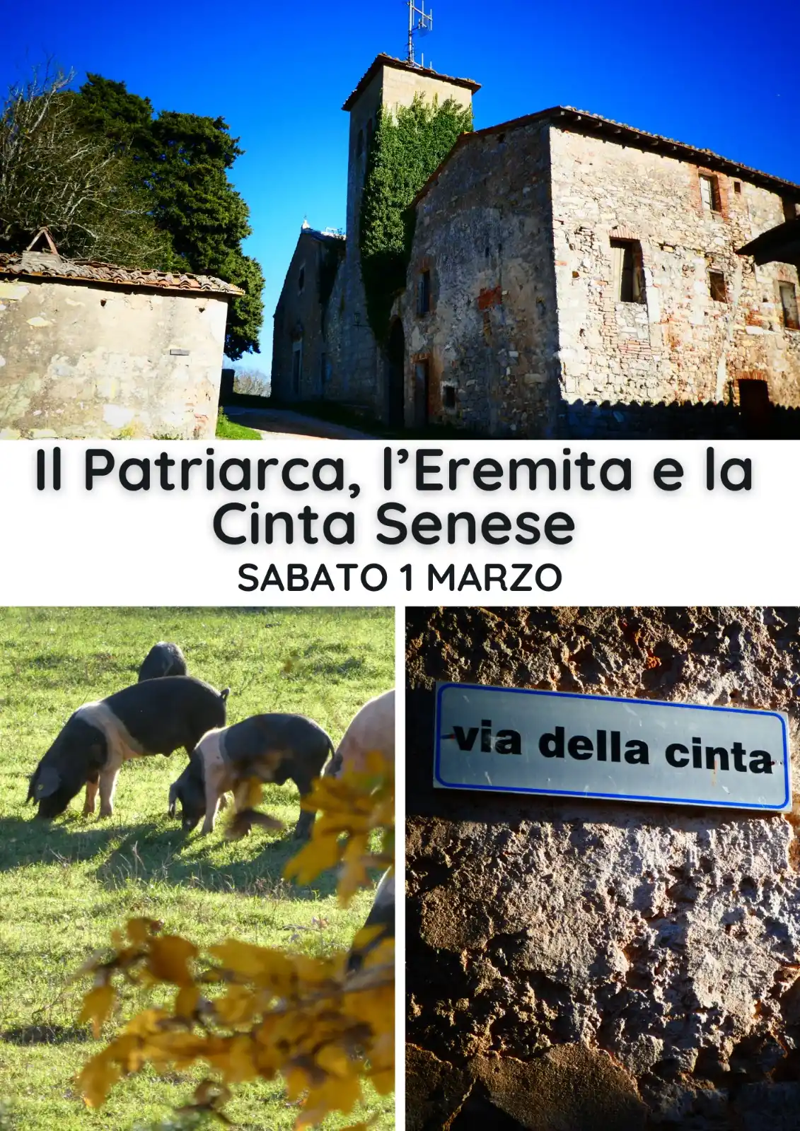 Le Vie del Chianti - Camminare in Toscana  post