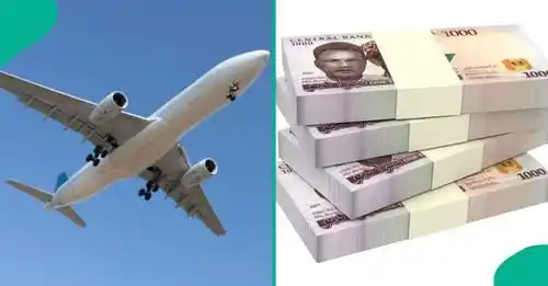 Legit.ng Naija News post