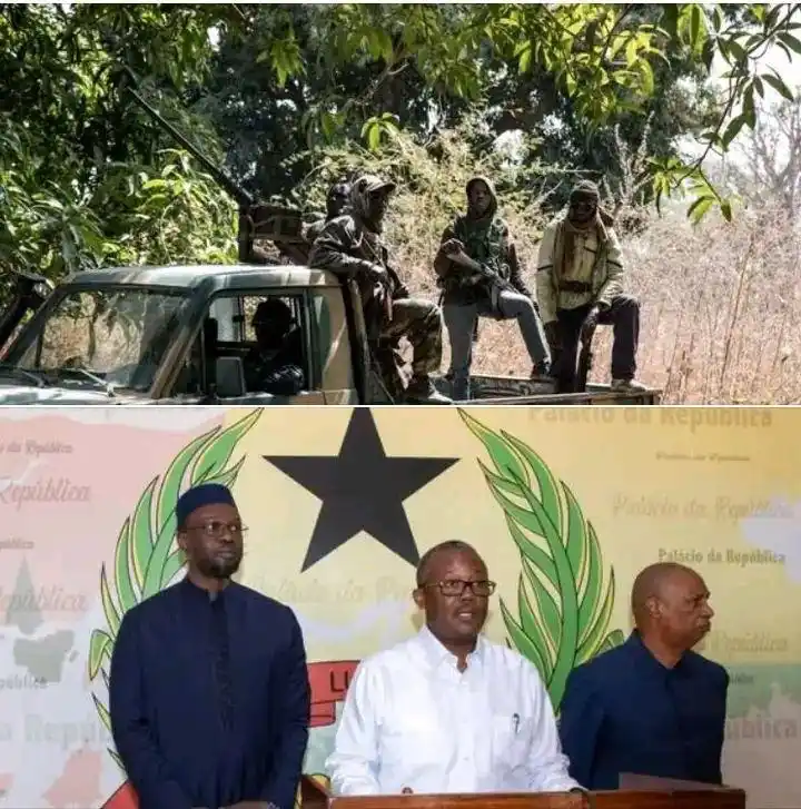 Image from L'Info en Clair: 🇸🇳 Le Sénégal célèbre un accord de paix en Casamance L'Agence de pr...