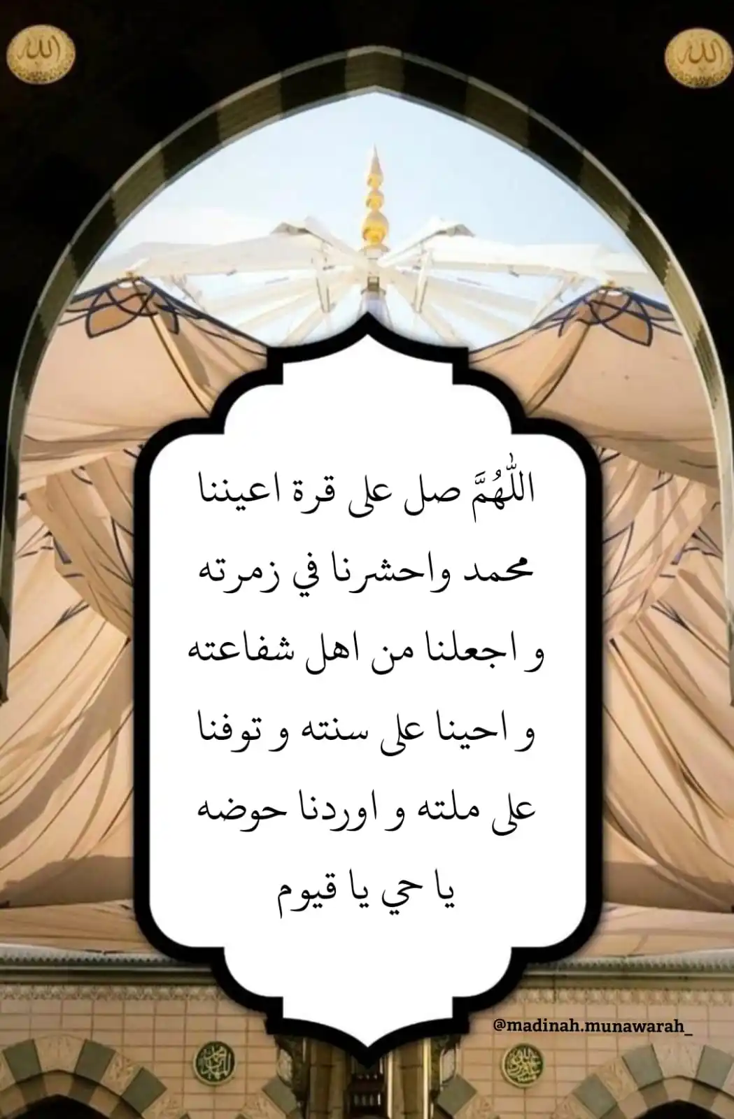 Lover of Madina Munawarah post