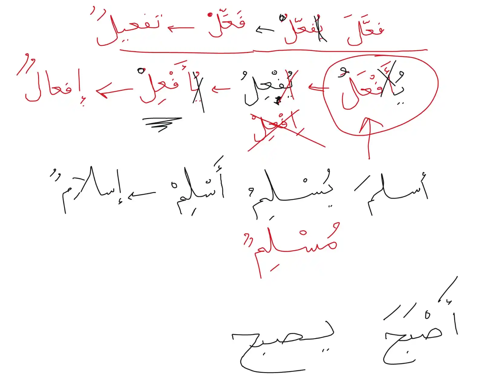 Madeenah Book Lessons post