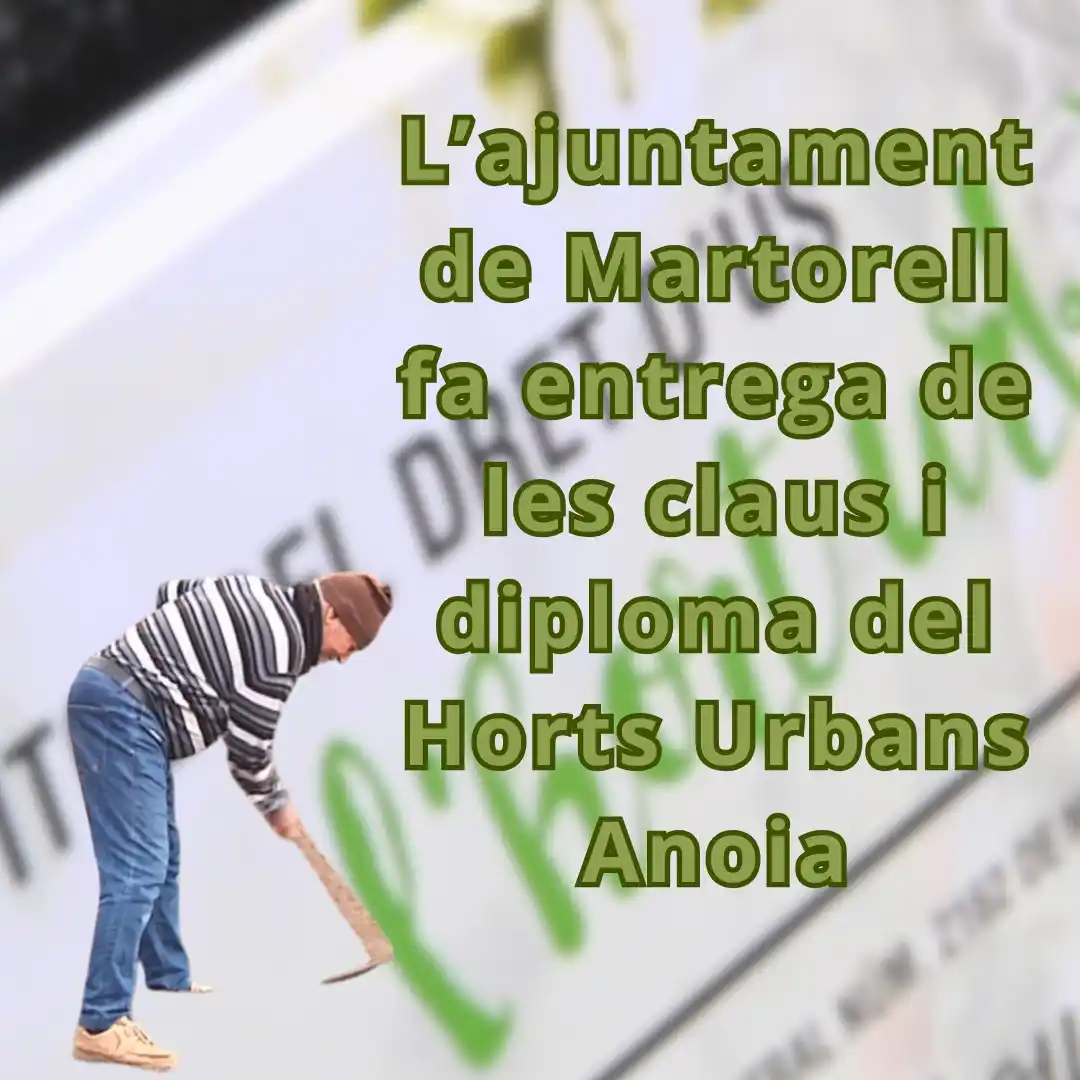 Martorell TV post