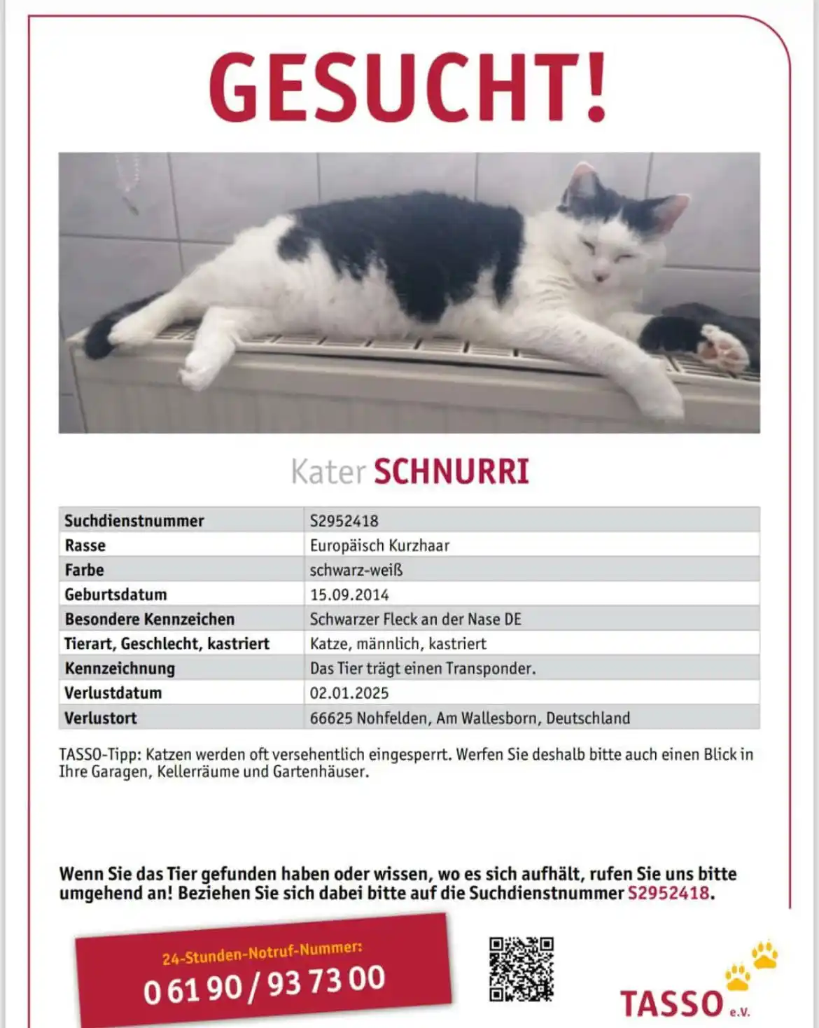 Mein Nohfelden post