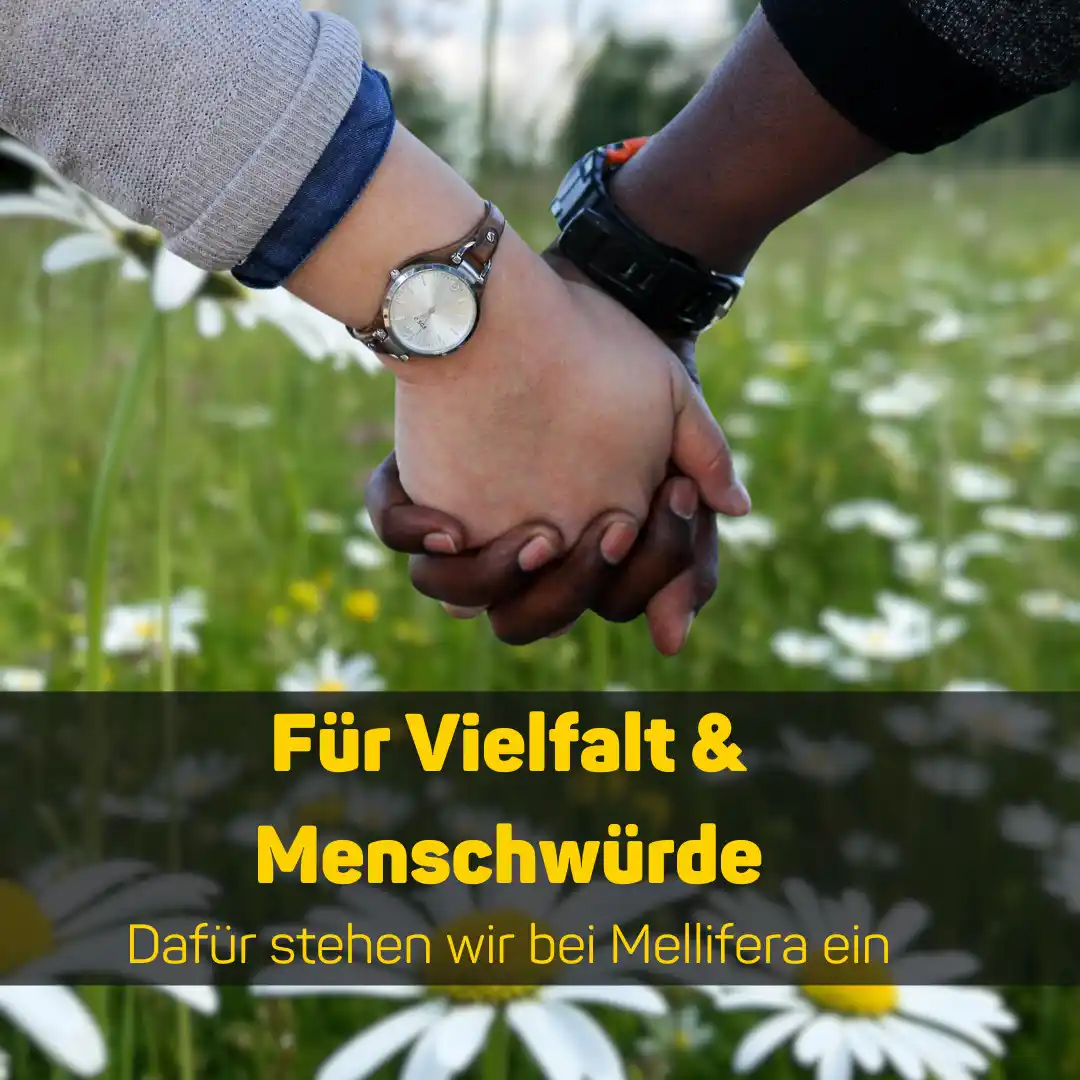 Mellifera e. V. – Initiativen für #BieneMenschNatur post
