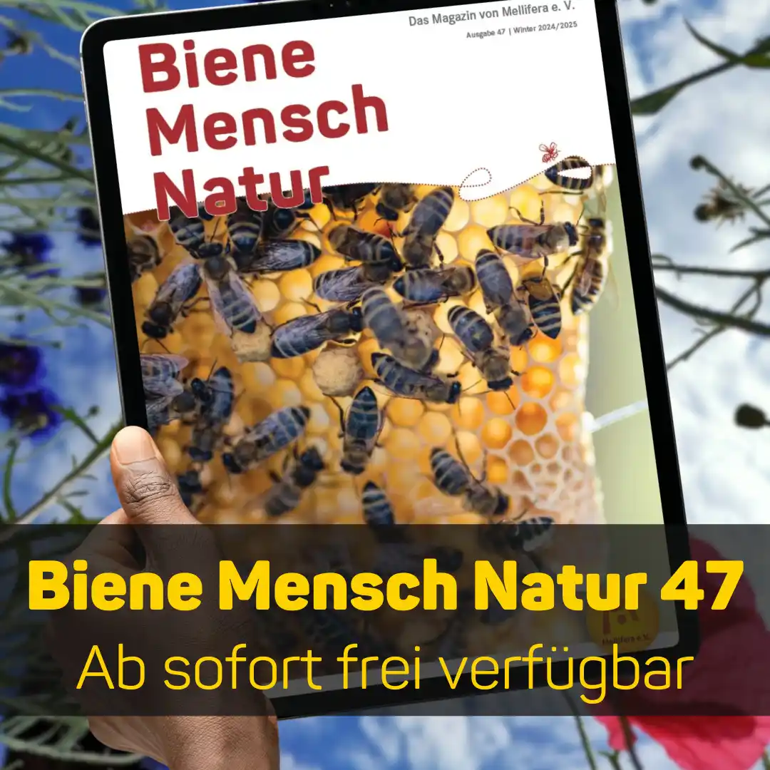 Mellifera e. V. – Initiativen für #BieneMenschNatur post